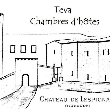 Bed and Breakfast Teva Lespignan Экстерьер фото